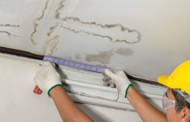 Reliable Mold Remediation contractor in Prairie Lea, TX by Water Damage Irwin